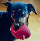 Amy